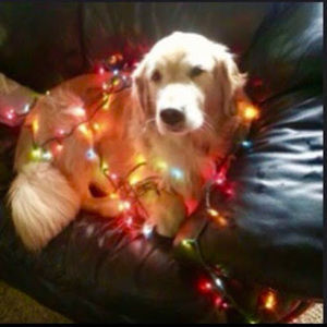 Meet your Posher, Brendan